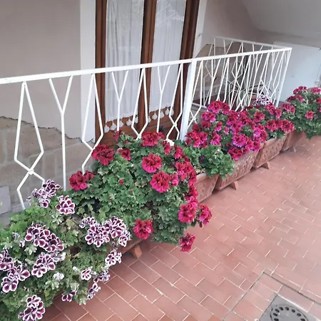 Apartment La Bouganville House *
